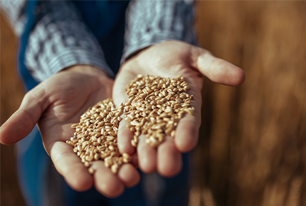 Cambiale Agraria : finanziamento per comprare le materie prime